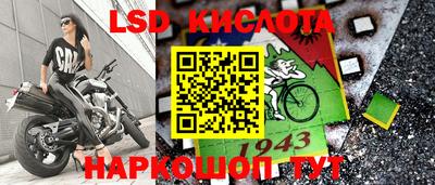 стаф Кандалакша