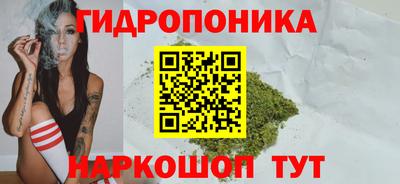 СК Камышлов