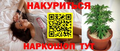 стаф Кандалакша