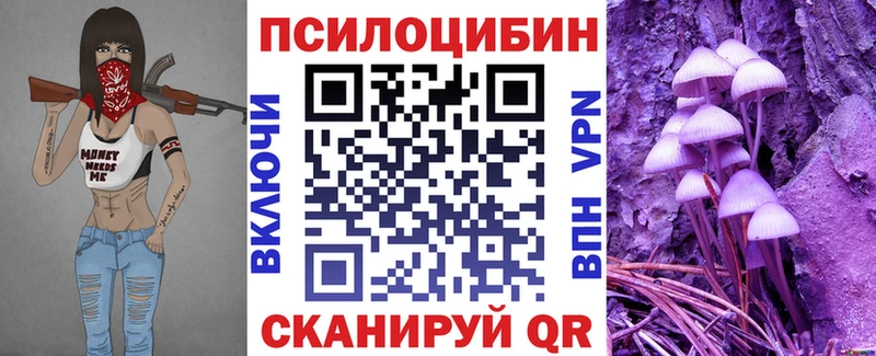 Псилоцибиновые грибы Psilocybe  blacksprut зеркало  Мурино 