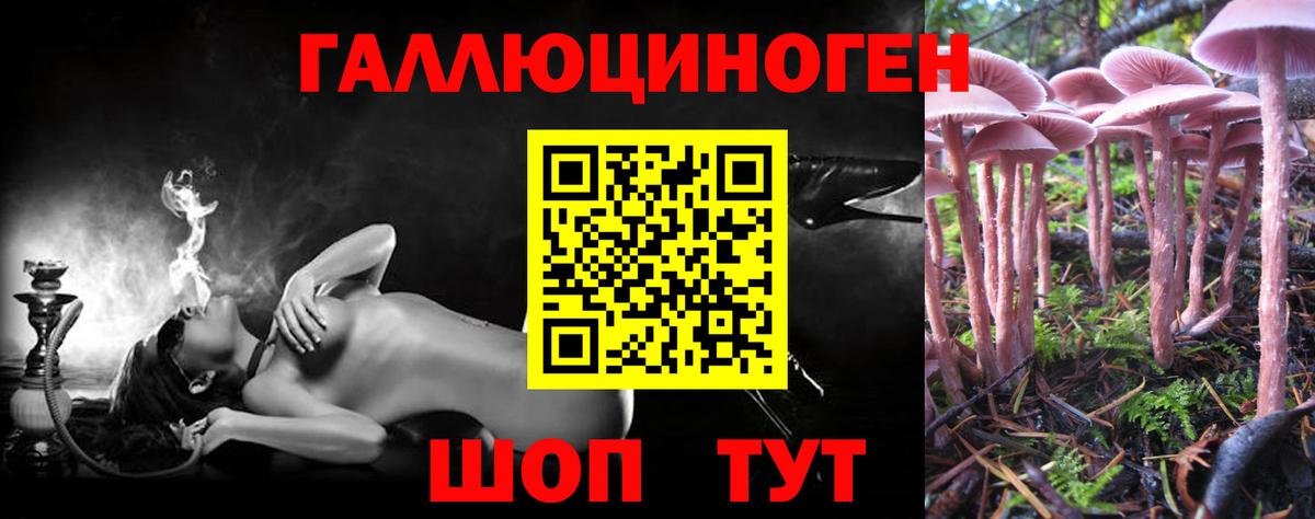 Псилоцибиновые грибы прущие грибы  Вход с VPN  Мурино 